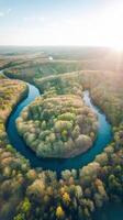 An aerial view of a river surrounded by trees photo