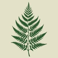 a fern leaf on a beige background vector