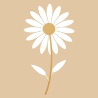 a white daisy on a brown background vector