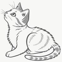drawing of a cat sitting down vector