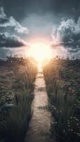 A path leading to the sun in a field photo