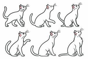 a set of six different cat poses vector