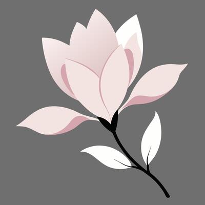 a pink flower with leaves on a gray background