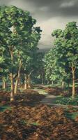 A forest with trees and dirt photo