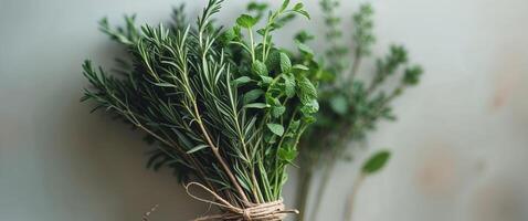 Fresh herbs are tied to a string photo