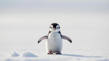 A penguin standing in the snow with its eyes closed photo
