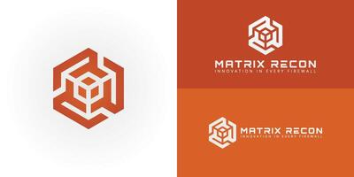 The intricately designed logo uniquely represents the initials MR through a sophisticated geometric hexagon emblem perfectly suited for businesses in Technology and Cybersecurity logo. vector
