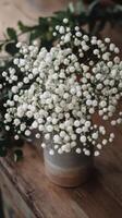 A vase of baby's breath on a table photo