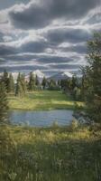 A golf course with trees and water in the background photo