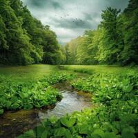 A stream runs through a green forest with trees and birds photo