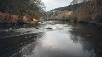 A river with rocks and trees in the middle photo