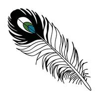 a black and white drawing of a feather vector