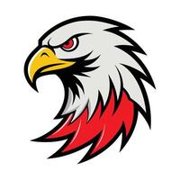 an eagle head with red and white feathers vector