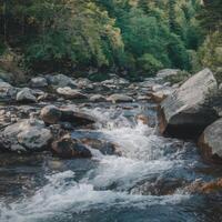 A river flowing through a forest with rocks and trees photo