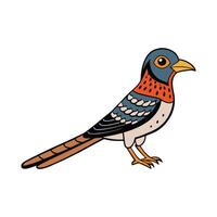 a colorful bird with a black and white head vector
