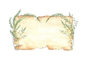 Old paper sheet with wild oat stems with empty space for text. Watercolor illustration isolated background. Paperboard with wildflowers template for vintage or rustic invitation, greeting cards vector