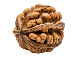 Close-up of a walnut shell, showcasing intricate details. png