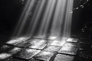 Ethereal Sunbeams Illuminating Wet Cobblestones in a Serene Garden Setting photo