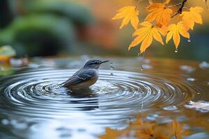 Serene Autumn Scene Bird in Rippling Water Beneath Golden Leaves photo