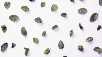 Fresh mint leaves scattered on white background photo