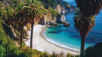 Scenic coastal beach view with palm trees and turquoise water photo