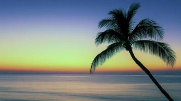 Serene ocean sunset with silhouetted palm tree and vibrant sky colors photo