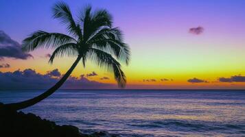 Tranquil tropical sunset by the ocean with silhouetted palm tree photo