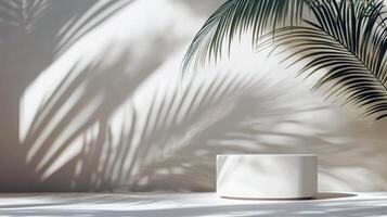 Minimalist tropical shadow pattern with palm leaves and light play on beige backdrop photo