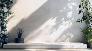 Minimalist interior with plants and soft shadows in sunlit space photo