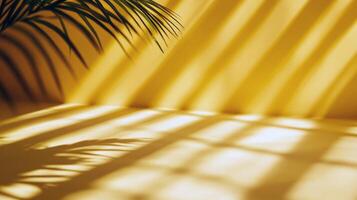 Sunlit palm shadows cast on bright yellow wall creating tropical atmosphere photo