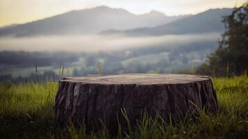 Sunlit tree stump in misty mountain landscape with lush green grass photo