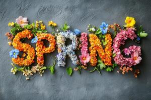 Colorful floral arrangement spelling spring on grey background photo