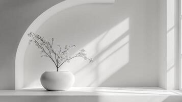 Minimalist white vase with branches in sunlit room photo