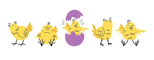 Set of cute Easter yellow chickens in doodle style. Hand drawn collection character in different poses. flat illustration. vector