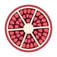 Pomegranate slice in flat technique vector