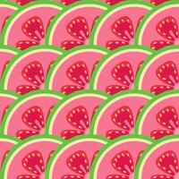 Guava slices seamless botanical vector