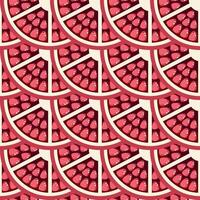 Pomegranate slices seamless pattern vector
