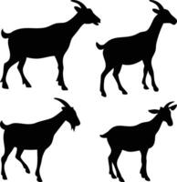 Silhouettes of Goats in Various Actions vector