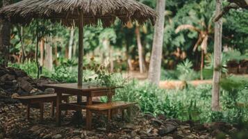 A table and chairs under an umbrella in the middle of a jungle photo