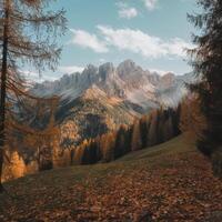 Autumn landscape with trees and mountains photo