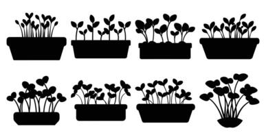 Collection of sprout silhouettes in various rectangular and round pots. Perfect for gardening, farming, and healthy eating concepts. vector