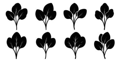 Set of spinach leaf silhouettes. Perfect for healthy food branding, menus, and recipes. vector