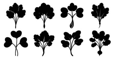 Collection of Parsley Silhouettes, Versatile Icons for Culinary, Health, and Design Projects vector