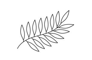 Leaves branch simple outline hand drawn illustration, floral sketch line art image, plant part doodle design element vector