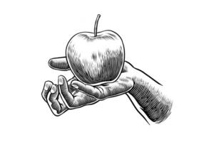 hand holding apple sketch illustration vector