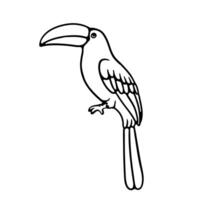 illustration hand draw single bird on white background good for coloring book vector