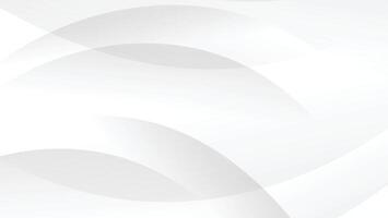 abstract white modern background with graphic curve decoration vector