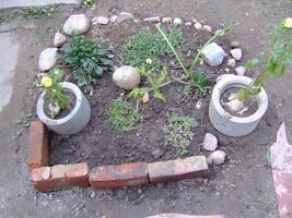 Small garden layout with flower pots and stones in an earthy space photo