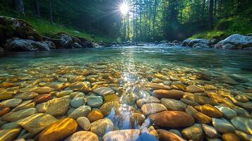 A river with rocks and water in the forest photo