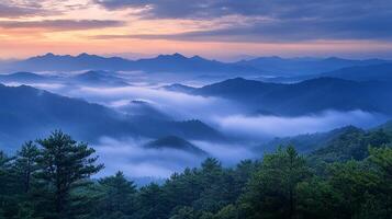 A view of mountains and trees with fog in the distance photo